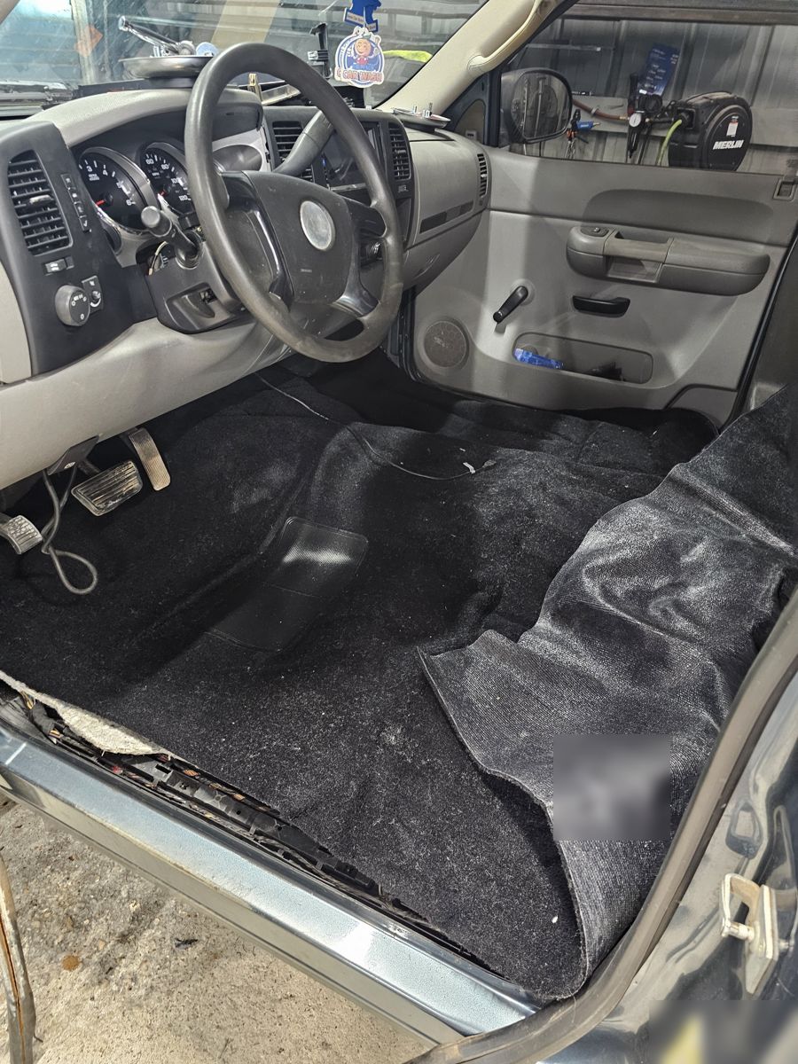 Carpet back in
